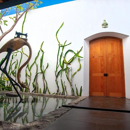 Casa Carmen Xolotl Oaxaca Exterior foto