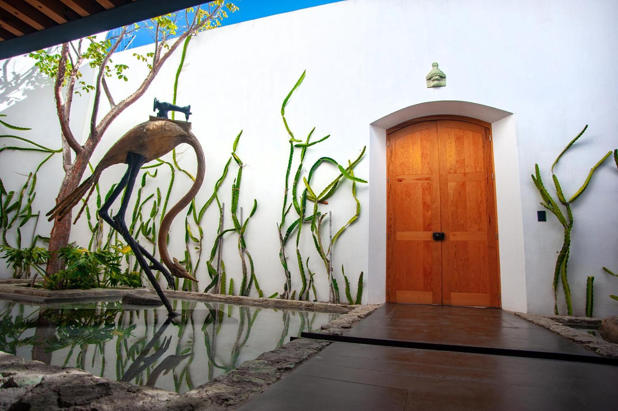 Casa Carmen Xolotl Oaxaca Exterior foto